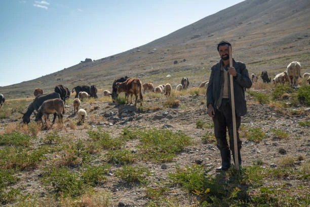The Roof of Afghanistan Wakhan & Pamir Tour: The Untouched Beauty of Badakhshan